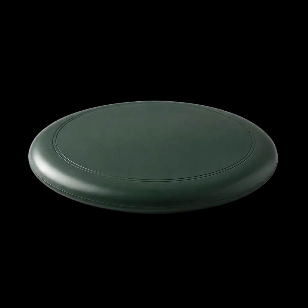 Flying Disc