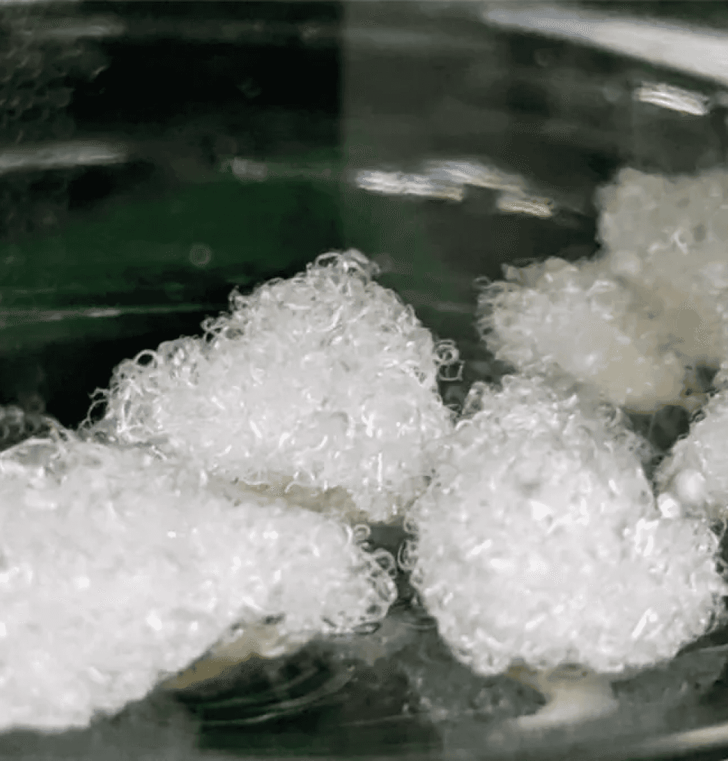 Labgrown Cotton